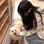 天道凌云手游下载