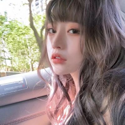 口袋训练师一号玩家版下载